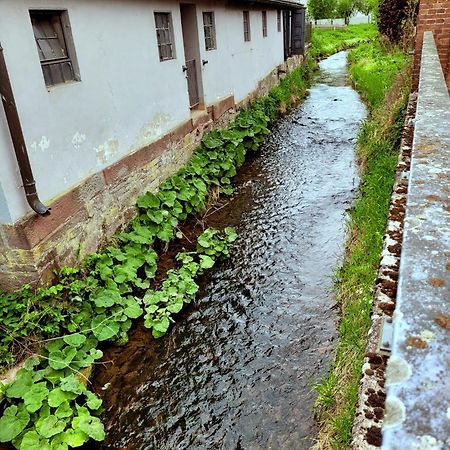Ferienwohnung Zum Sollingtor Dassel Экстерьер фото