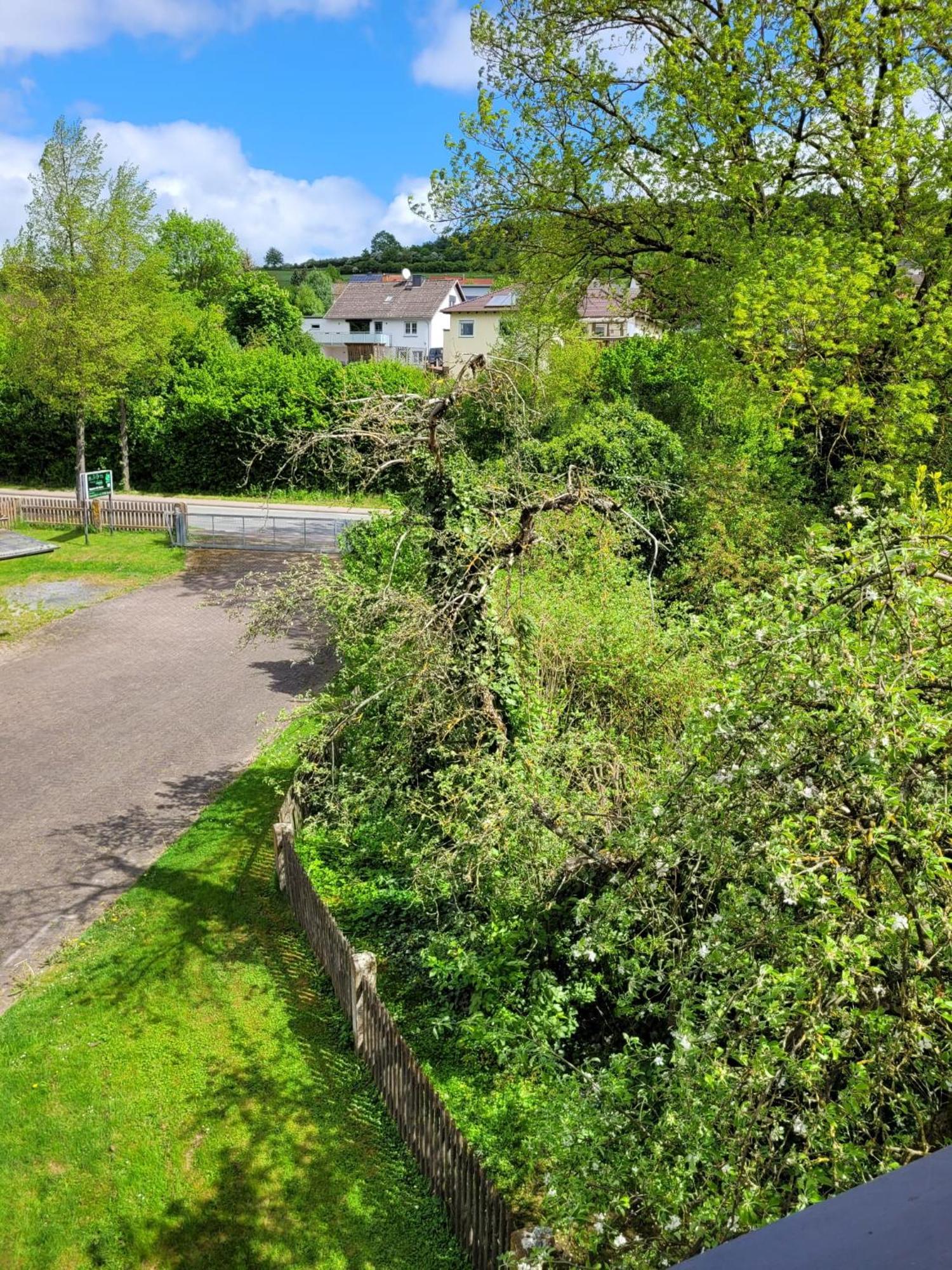Ferienwohnung Zum Sollingtor Dassel Экстерьер фото